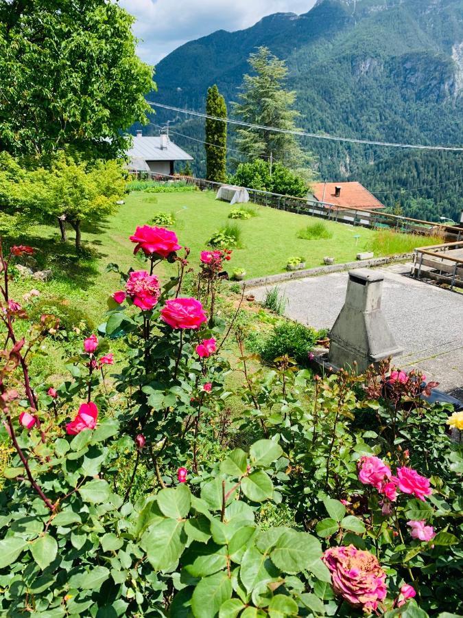 Aparthotel Mansarda La Soffitta Domegge di Cadore Exterior foto
