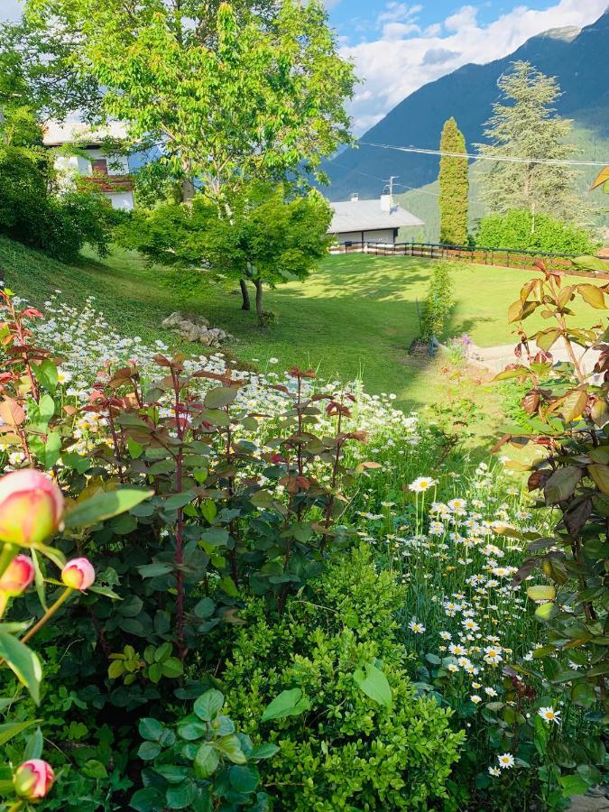Aparthotel Mansarda La Soffitta Domegge di Cadore Exterior foto